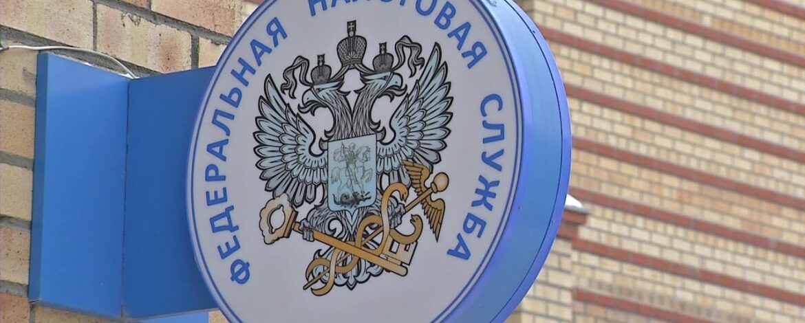 Причины выездной налоговой проверки организации