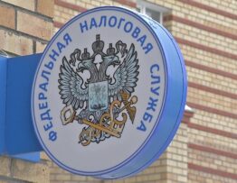 Причины выездной налоговой проверки организации